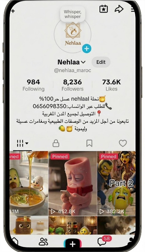 TikTok profile — 8,236 followers, 73.6K likes